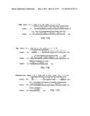 NOVEL MOLECULES OF THE CARD-RELATED PROTEIN FAMILY AND USES THEREOF diagram and image