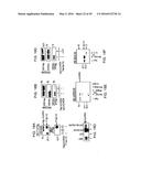 NOVEL MOLECULES OF THE CARD-RELATED PROTEIN FAMILY AND USES THEREOF diagram and image