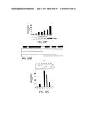 NOVEL MOLECULES OF THE CARD-RELATED PROTEIN FAMILY AND USES THEREOF diagram and image
