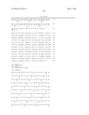 NOVEL MOLECULES OF THE CARD-RELATED PROTEIN FAMILY AND USES THEREOF diagram and image