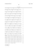 NOVEL MOLECULES OF THE CARD-RELATED PROTEIN FAMILY AND USES THEREOF diagram and image