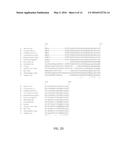 VARIANTS OF CELLOBIOHYDROLASES diagram and image