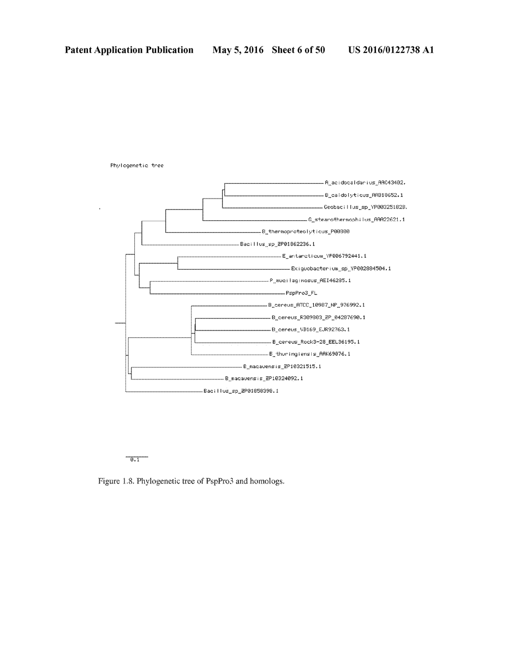 NOVEL METALLOPROTEASES - diagram, schematic, and image 07