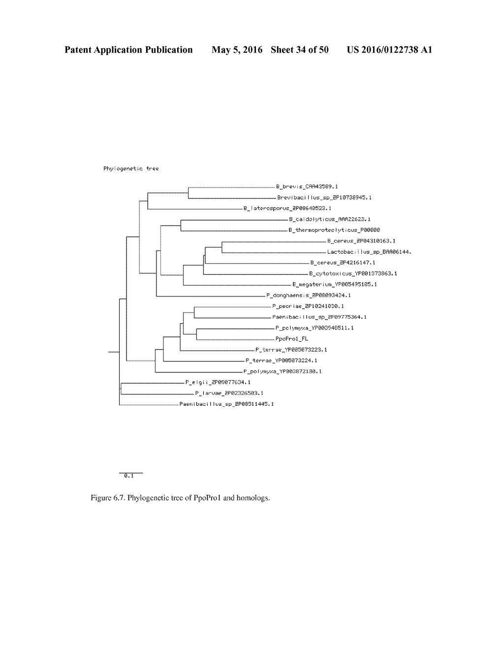 NOVEL METALLOPROTEASES - diagram, schematic, and image 35