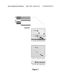 PROTEIN INVOLVED IN DNA REPLICATION, AND MODULATION OF ITS ACTIVITY diagram and image