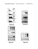 PROTEIN INVOLVED IN DNA REPLICATION, AND MODULATION OF ITS ACTIVITY diagram and image