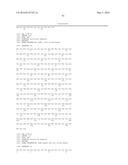 PROTEIN INVOLVED IN DNA REPLICATION, AND MODULATION OF ITS ACTIVITY diagram and image