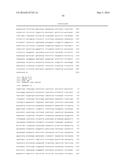 PROTEIN INVOLVED IN DNA REPLICATION, AND MODULATION OF ITS ACTIVITY diagram and image