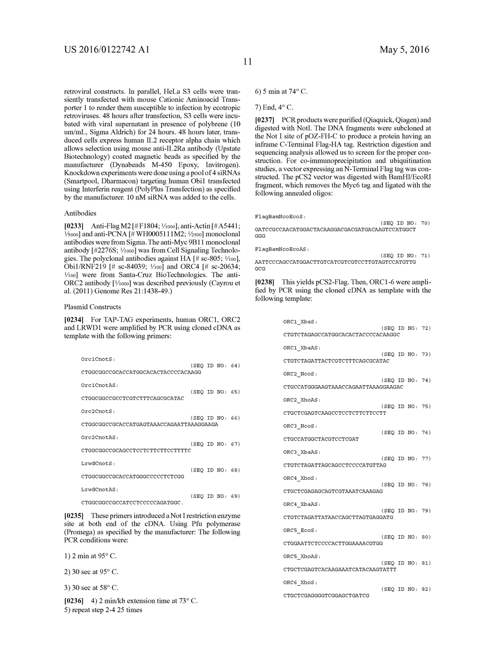 PROTEIN INVOLVED IN DNA REPLICATION, AND MODULATION OF ITS ACTIVITY - diagram, schematic, and image 33