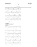 PROTEIN INVOLVED IN DNA REPLICATION, AND MODULATION OF ITS ACTIVITY diagram and image