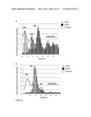 SCREENING FOR INHIBITORS OF RIBOSOME BIOGENESIS diagram and image