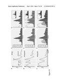 SCREENING FOR INHIBITORS OF RIBOSOME BIOGENESIS diagram and image