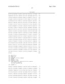 SCREENING FOR INHIBITORS OF RIBOSOME BIOGENESIS diagram and image