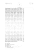 SCREENING FOR INHIBITORS OF RIBOSOME BIOGENESIS diagram and image