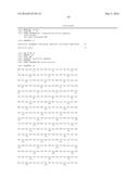 SCREENING FOR INHIBITORS OF RIBOSOME BIOGENESIS diagram and image