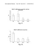 COMPOSITIONS AND METHODS FOR MODULATING FOXP3 EXPRESSION diagram and image