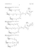 COMPOSITIONS AND METHODS FOR MODULATION OF TARGET NUCLEIC ACIDS diagram and image