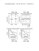 QSOX1 AS AN ANTI-NEOPLASTIC DRUG TARGET diagram and image