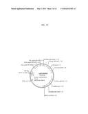 Genes and Uses for Plant Enhancement diagram and image