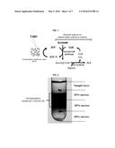 CONTINUOUS PRODUCTION METHOD FOR 5-AMINOLEVULINIC ACID BY USING     PHOTOSYNTHETIC MEMBRANE VESICLE diagram and image