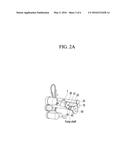 GEAR TRAIN LAYOUT STRUCTURE FOR DRIVING A FUEL PUMP diagram and image