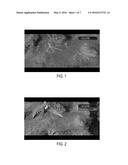 ROUTE PLANNING SYSTEM AND METHOD FOR MINIMIZING EXPOSURE TO THREATS diagram and image