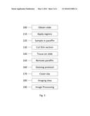 METHOD OF FORMING A STAIN ASSESSMENT TARGET diagram and image