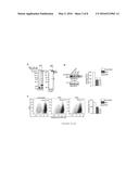 IL-34 RECEPTOR ASSAYS AND USES THEREOF diagram and image