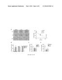 IL-34 RECEPTOR ASSAYS AND USES THEREOF diagram and image