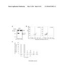 IL-34 RECEPTOR ASSAYS AND USES THEREOF diagram and image