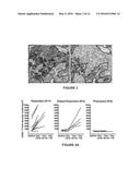 METHODS FOR STRATIFYING NON-RESPONDERS TO THERAPIES THAT BLOCK PD1/PDL1     AXIS diagram and image