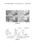 METHODS FOR STRATIFYING NON-RESPONDERS TO THERAPIES THAT BLOCK PD1/PDL1     AXIS diagram and image