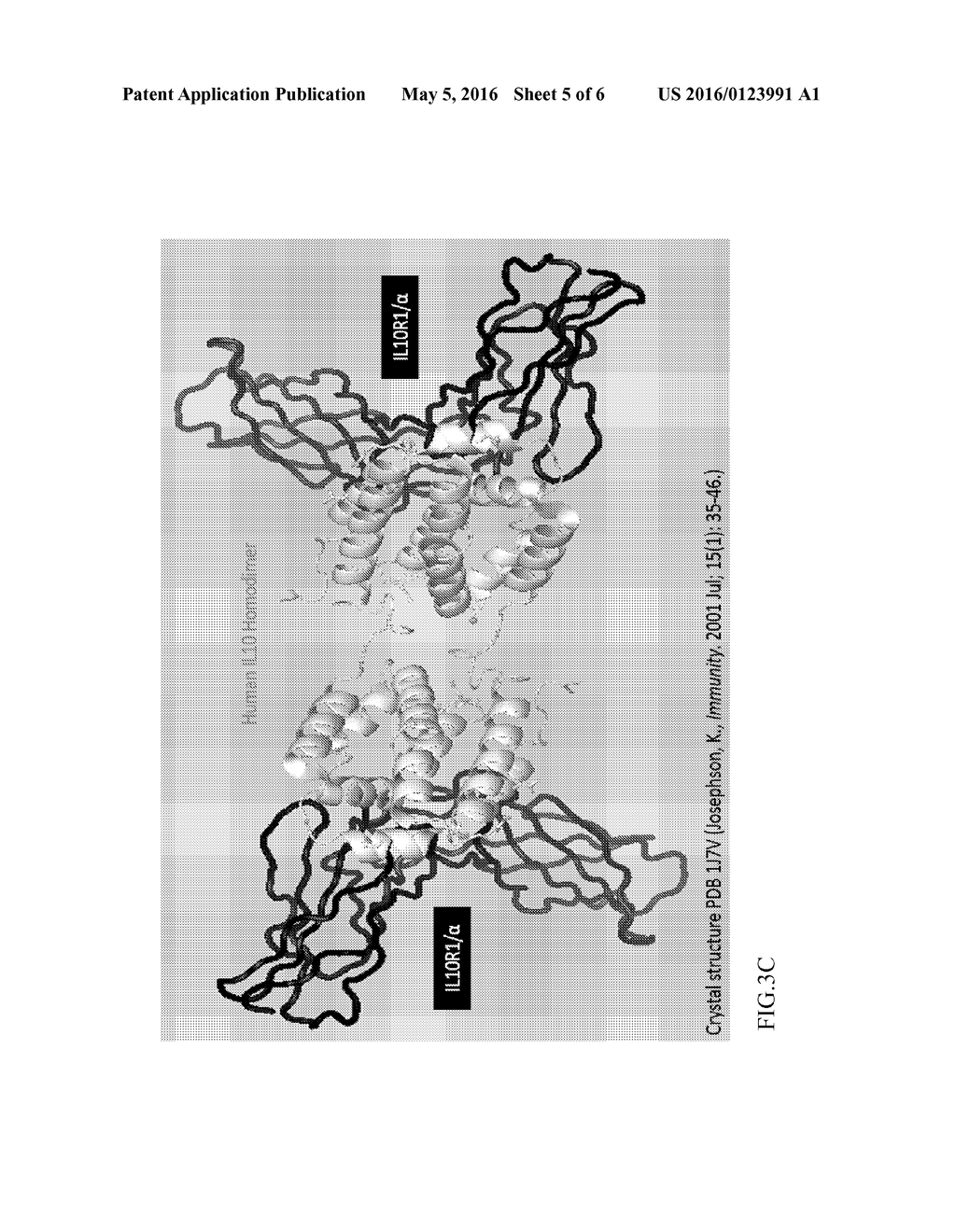 Method for Assessing Protein Identity and Stability - diagram, schematic, and image 06