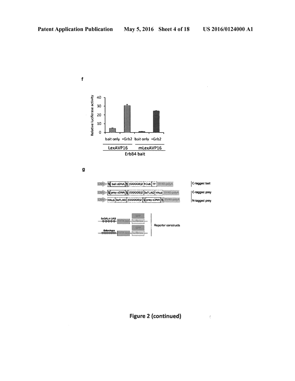 DETECTION OF PROTEIN TO PROTEIN INTERACTIONS - diagram, schematic, and image 05