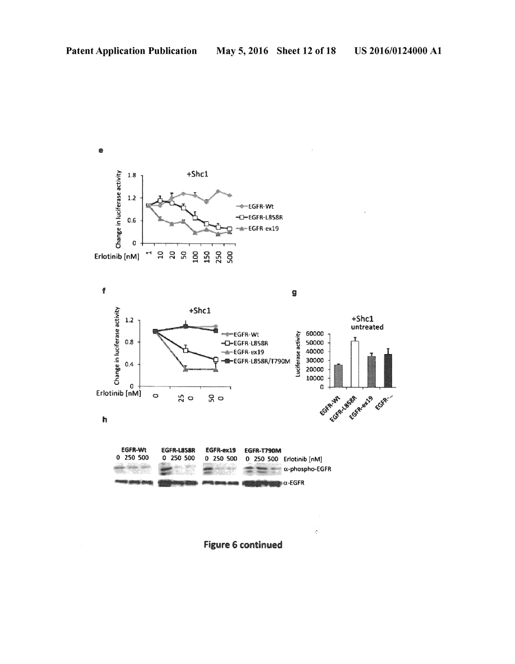 DETECTION OF PROTEIN TO PROTEIN INTERACTIONS - diagram, schematic, and image 13