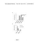 DETECTION OF PROTEIN TO PROTEIN INTERACTIONS diagram and image