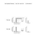 ULTRASONIC MEASUREMENT APPARATUS, ULTRASONIC DIAGNOSTIC APPARATUS, AND     ULTRASONIC MEASUREMENT METHOD diagram and image