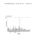 IDENTIFICATION OF MINIMAL COMBINATIONS OF ONCOPROTEINS IN NOTCH PATHWAY TO     SUPPRESS HUMAN GLIOBLASTOMA diagram and image