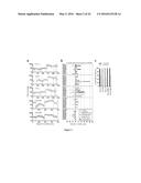 ACCURATE TYPING OF HLA THROUGH EXOME SEQUENCING diagram and image