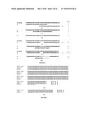 ACCURATE TYPING OF HLA THROUGH EXOME SEQUENCING diagram and image