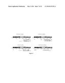 ACCURATE TYPING OF HLA THROUGH EXOME SEQUENCING diagram and image