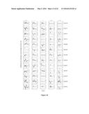 ACCURATE TYPING OF HLA THROUGH EXOME SEQUENCING diagram and image