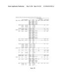 ACCURATE TYPING OF HLA THROUGH EXOME SEQUENCING diagram and image