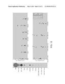 Automated Classification of Cells in Biologic Mixtures Analyzed by High     Parameter Cytometry Instrumentation, Processing, System and Method diagram and image