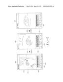 ELECTRONIC DEVICE, AND METHOD FOR ANALYZING FACE INFORMATION IN ELECTRONIC     DEVICE diagram and image