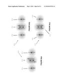 APPARATUS AND METHOD FOR QUANTUM PROCESSING diagram and image