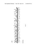 METHOD AND APPARATUS FOR DETERMINING ROAD NETWORK LANE DIRECTIONAL CHANGES diagram and image