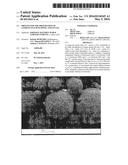 PROCESS FOR THE PREPARATION OF LITHIUM TITANIUM SPINEL AND ITS USE diagram and image