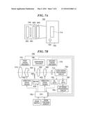 VIBRATION DRIVE DEVICE IN WHICH SEPARATION BETWEEN MEMBERS BY EXTERNAL     FORCE IS SUPPRESSED, LENS BARREL, IMAGE PICKUP APPARATUS, AND STAGE     DEVICE diagram and image