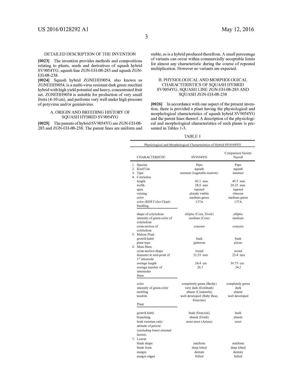SQUASH HYBRID SV9054YG AND PARENTS THEREOF - diagram, schematic, and image 04
